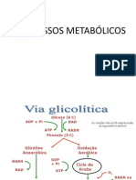 Glicólise 2013