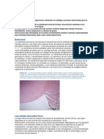 Basico 2 PDF