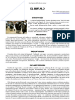 02-bufalos_senasa.pdf