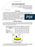 05-produccion_bubalina.pdf