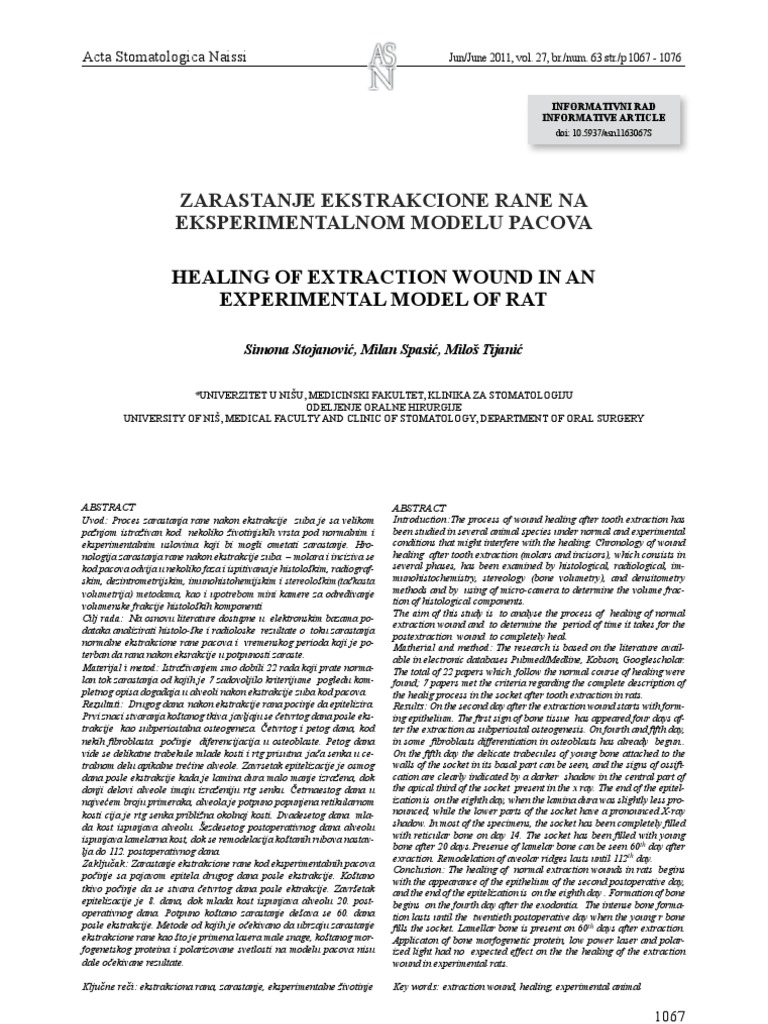 Healing of Extraction Wounds... | PDF | Fibroblast | Bone