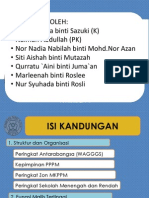 Struktur Organisasi Kepimpinan PPPM