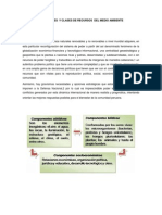 Componetes y Clases de Recursos Del Medio Ambiente