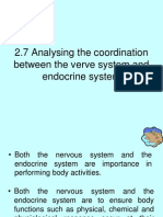 2.7 Analysing The Coordination Between The Verve System and Endocrine System