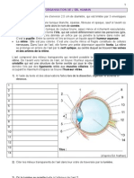 02 Exercice Structure Oeil