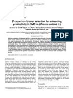 Prospects of Clonal Selection For Enhancing Productivity in Saffron (Crocus Sativus L.)