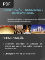 ppt fermentaçao