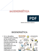 14 - Bioenergetica