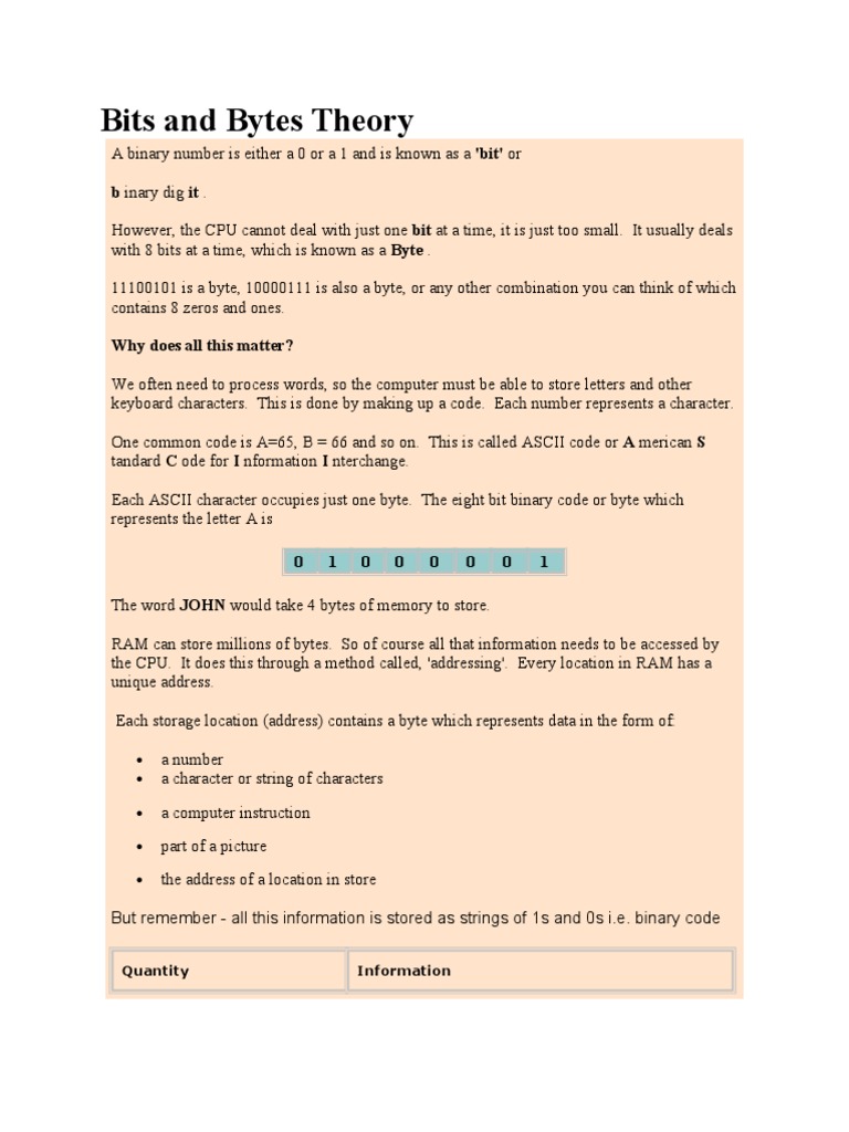 Understanding Bits and Bytes Basics | PDF