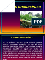 CULTIVOS