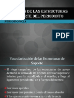 Irrigacion Del Periodonto