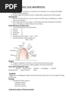 Digestive System Flow Chart | Digestion | Stomach