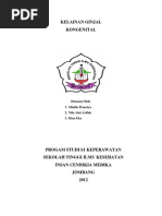 Download KELAINAN KONGENITAL GINJAL newdocx by Ida Marhaeni SN139517088 doc pdf