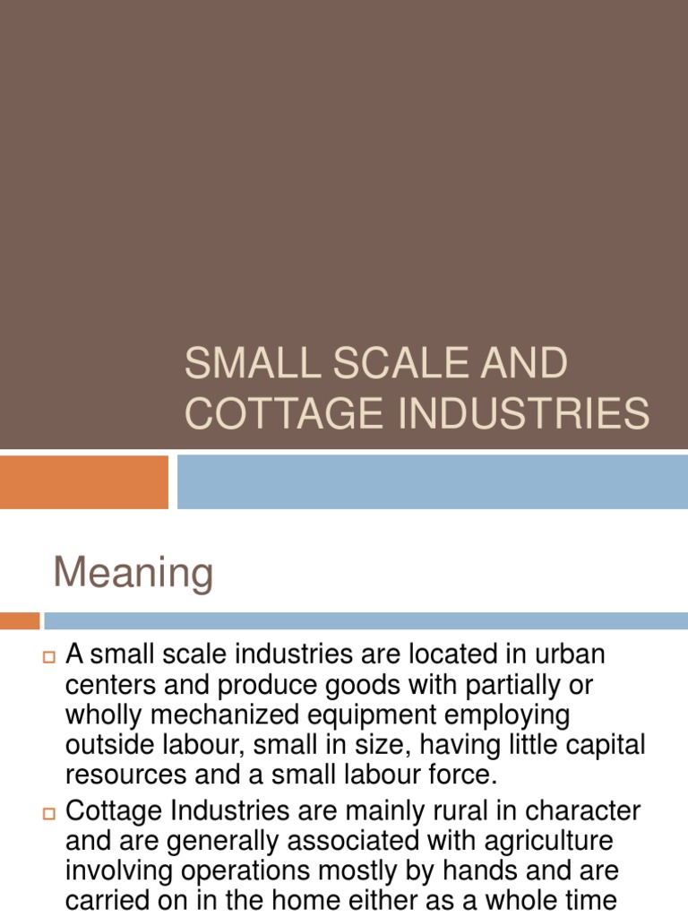 Small Scale and Cottage Industries | PDF