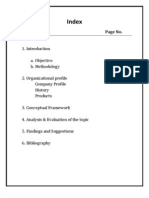Organizational Profile and Analysis Project