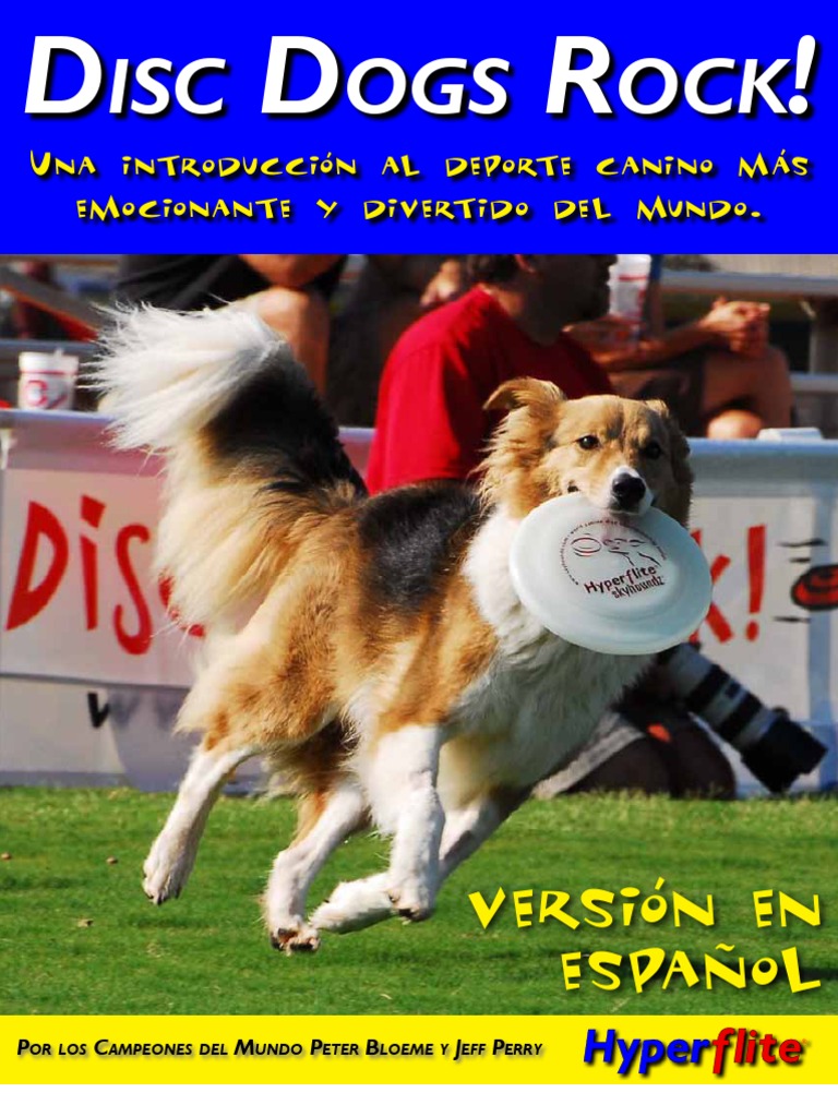 Disc Dog ¡Aprende todo sobre este deporte canino!