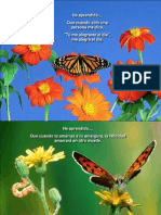 Mariposas Mensajeras