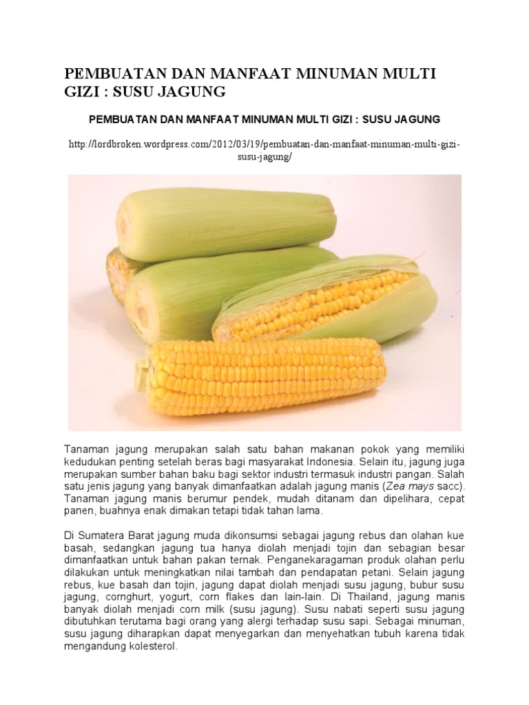 Susu Jagung Untuk Diet