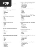 Soal Rangking 1