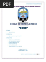 Modelo de Control Interno COCO | PDF | Toma de decisiones | Evaluación