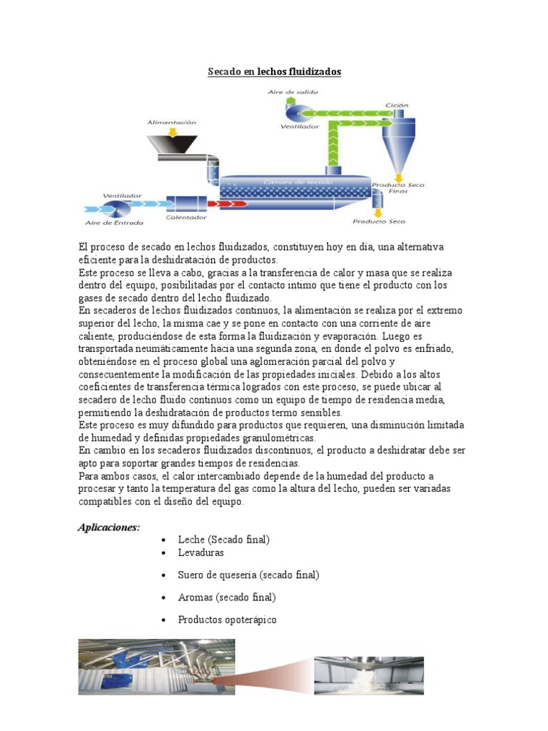 Secado en Lechos Fluidizados Equipo | PDF