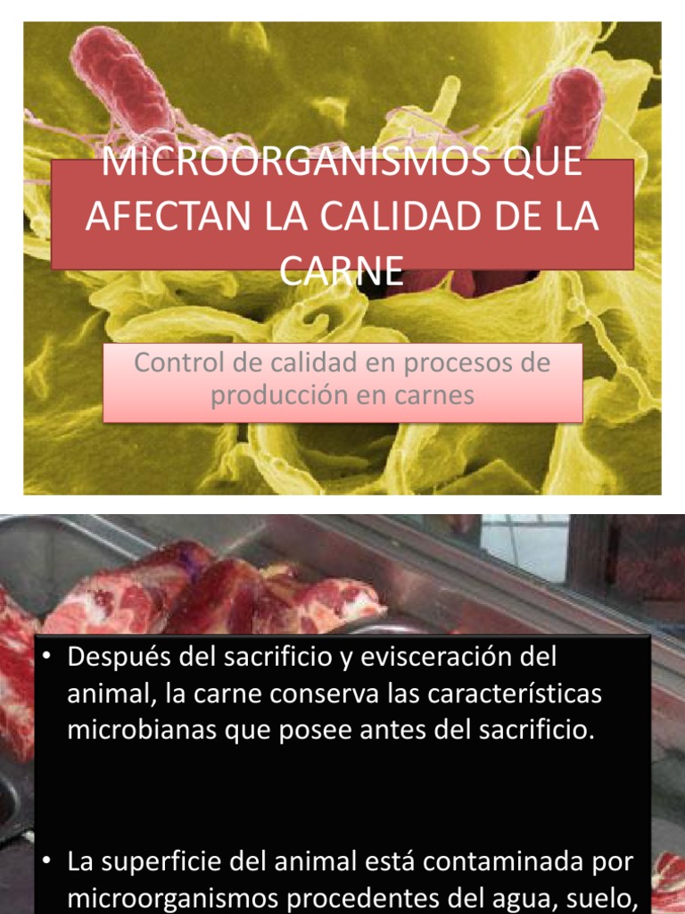 Microorganismos y calidad de la carne | PDF