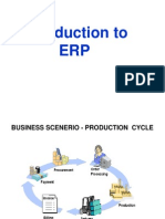 ERP Overview