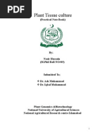Download Plant Tissue Culture Practical Note Book by Nasir Hussain Faraz SN13959400 doc pdf