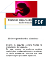 Segunda Semana Del Desarrollo Embrionario