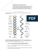 A mensagem do DNA é passada para o RNA