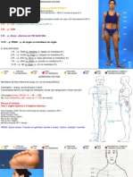 8-P. Merid.rim Zu Taiyin Mai