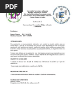 Modelo de Carta de Despido