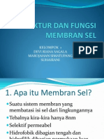 Struktur Dan Fungsi Membran Sel