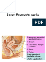 Sistem Reproduksi Wanita