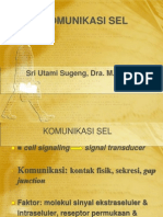 Komunikasi Sel