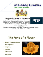 Reproduction in Flowering Plants