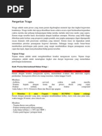 Download Triage by AmaliaFirdaus SN139725947 doc pdf