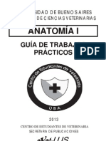 Gu A Anato 1 NUEVA PDF