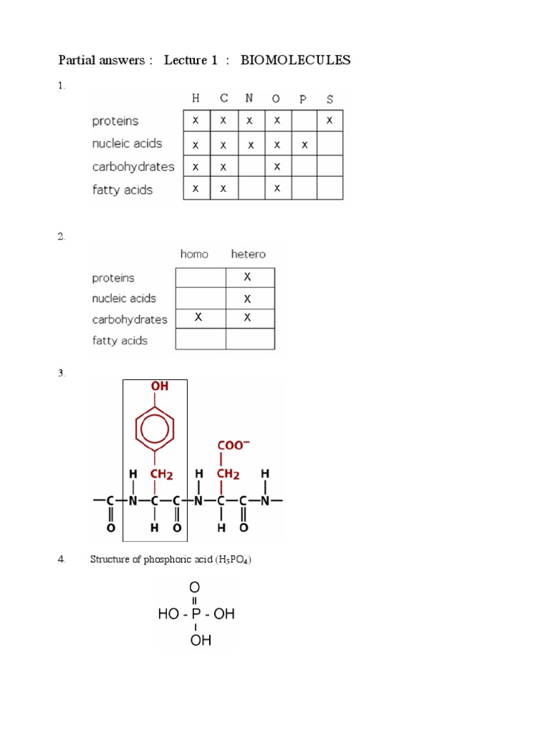 Overview of Biomolecules and Structures | PDF | Science & Mathematics
