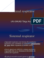 2 - Sistemul Respirator