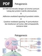 MM - Patogenesis