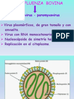 Parainfluenza Bovina