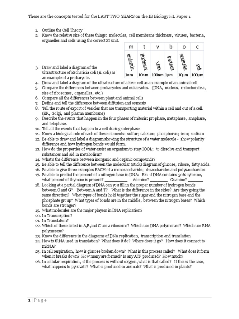 Ib lit hl essay examples picture