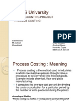 The IIS University: Cost Accounting Project "Process Costing"