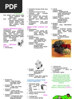 Leaflet Diet TKTP