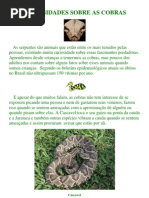 Curiosidades Sobre as Cobras