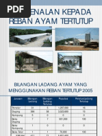 Ayam: Reban Ayam Daging Terbuka
