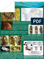 Poster Varroa