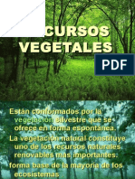 Recursos vegetales Perú: bosques, pastos, alimentos e industriales