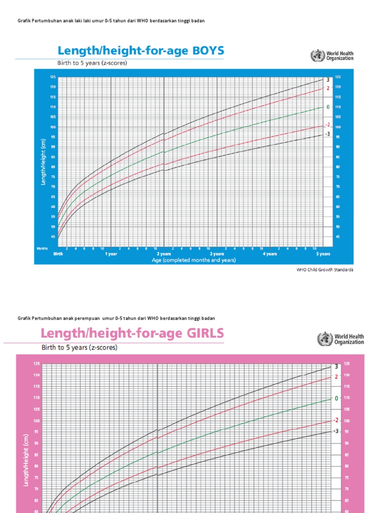 Grafik Pertumbuhan Who2 PDF | PDF | Kesehatan Holistik